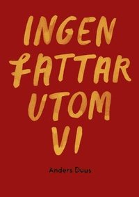 bokomslag Ingen fattar utom vi