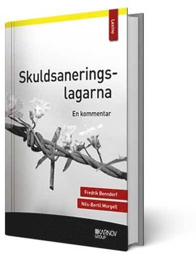 bokomslag Skuldsaneringslagarna : en kommentar