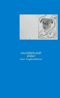 bokomslag Nanosekund