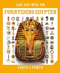 bokomslag Fakta i fokus. Lär dig mer om forntidens Egypten