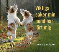 bokomslag Viktiga saker min hund har lärt mig