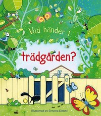 bokomslag Vad händer i trädgården?