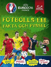 bokomslag Fotbolls-EM: fakta och pyssel