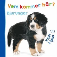 bokomslag Vem kommer här? Djurungar - klappa & lyssna