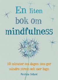 bokomslag En liten bok om mindfulness : 10 minuter om dagen som ger mindre stress och mer lugn