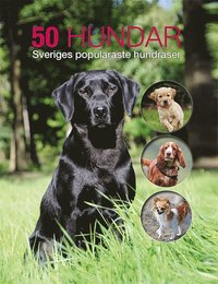 bokomslag 50 hundar : Sveriges populäraste hundraser
