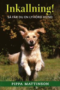 bokomslag Inkallning! : så får du en lyhörd hund