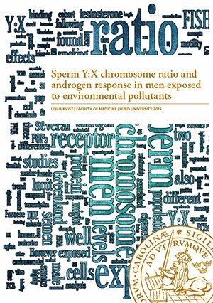 bokomslag Sperm Y:X chromosome ratio and androgen response in men exposed to environmental pollutants