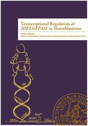 Transcriptional Regulation of HIF2A/EPAS1 in Neuroblastoma 1