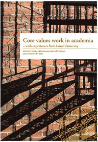 bokomslag Core values work in academia