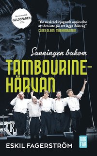 bokomslag Sanningen bakom Tambourinehärvan