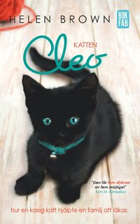 bokomslag Katten Cleo : hur en kaxig katt hjälpte en familj att läkas