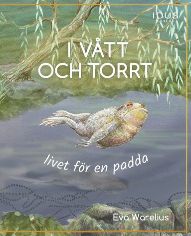 bokomslag I vått och torrt : livet för en padda