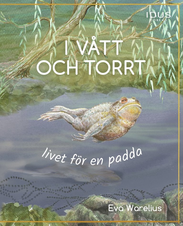 I vått och torrt : livet för en padda