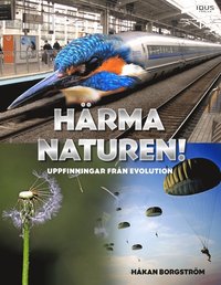 bokomslag Härma naturen : uppfinningar från evolution