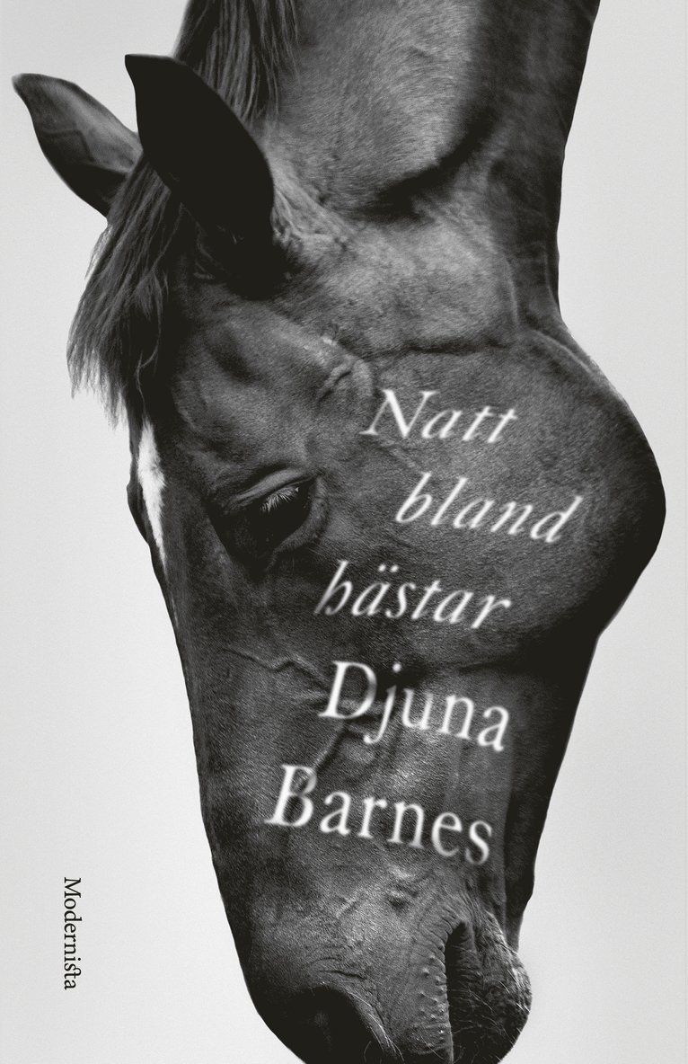 Djuna Barnes - Natt bland hästar, Inbunden