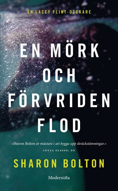 bokomslag En mörk och förvriden flod