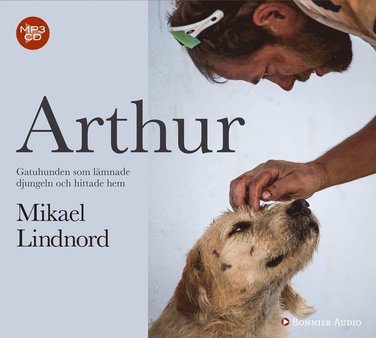Arthur : gatuhunden som lämnade djungeln och hittade hem 1