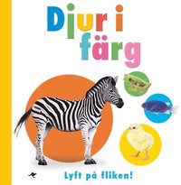 bokomslag Djur i färg : lyft på fliken
