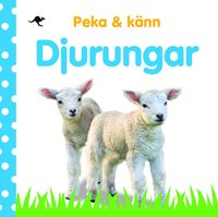 bokomslag Peka och känn : djurungar