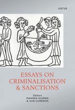 bokomslag Essays on criminalisation & sanctions