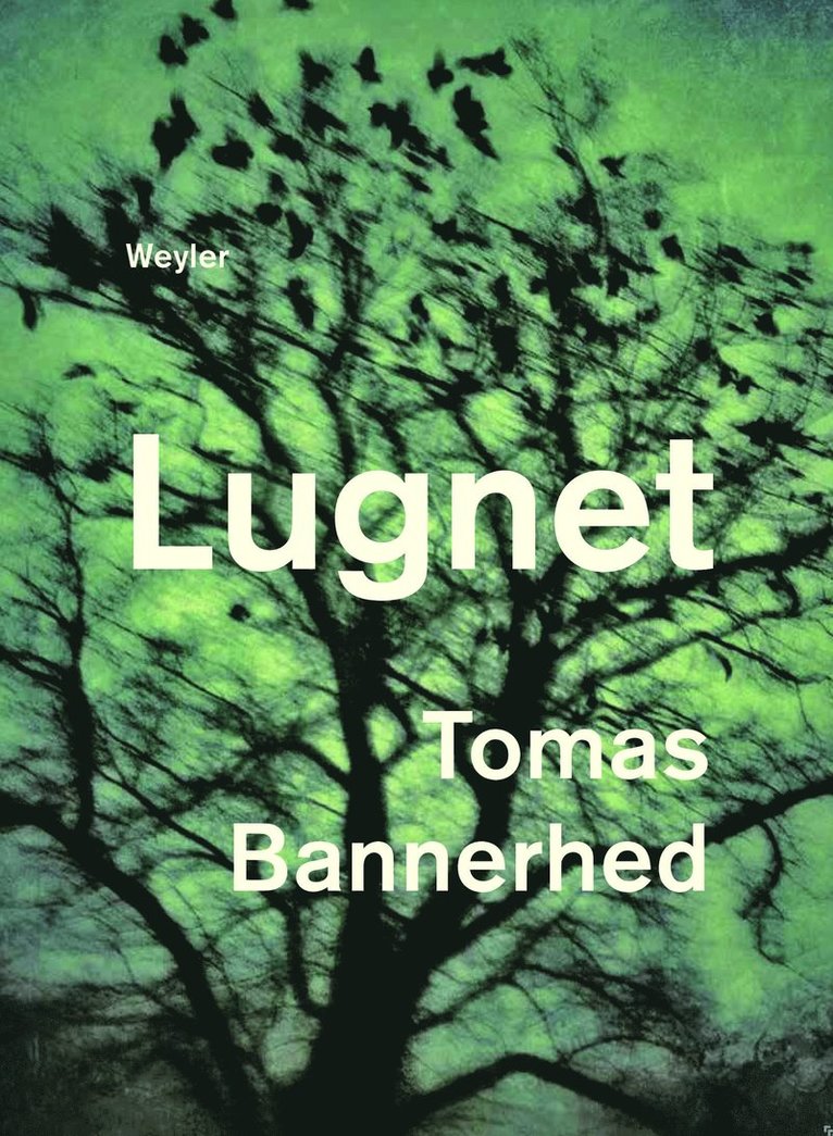 Lugnet 1