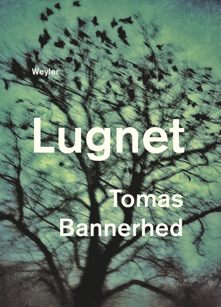 Lugnet 1