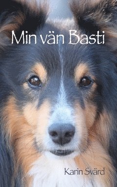 Karin Svärd - Min vän Basti, Häftad