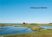 Ingrid Hansson - Enslingen på Saltholm, Inbunden