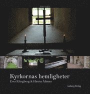 bokomslag Kyrkornas hemligheter : södra Sverige