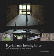 Kyrkornas hemligheter : södra Sverige 1