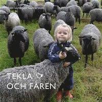 bokomslag Tekla och fåren
