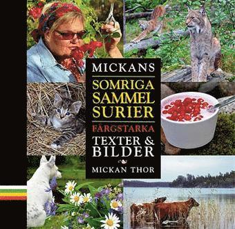 Mickan Thor - Mickans somriga sammelsurier : färgstarka texter och bilder, Inbunden