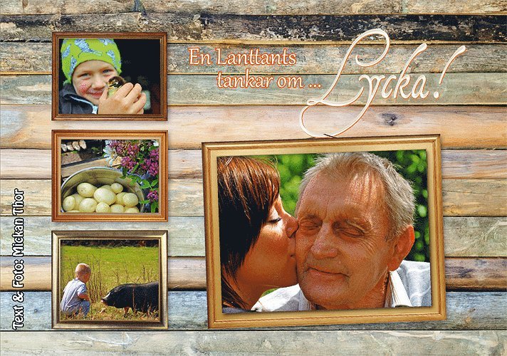 Mickan Thor - En lanttants tankar om Lycka, Inbunden