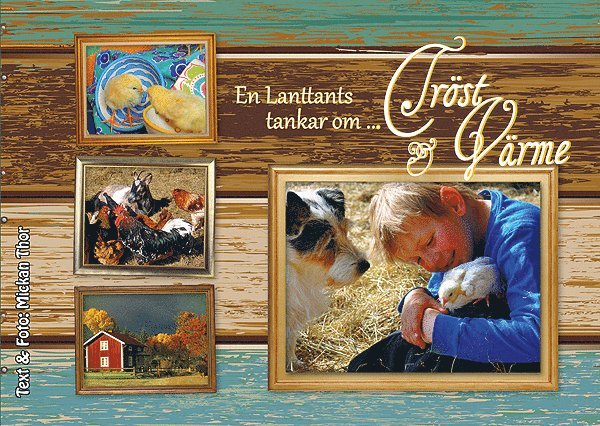 Mickan Thor - En lanttants tankar om Tröst & Värme, Inbunden