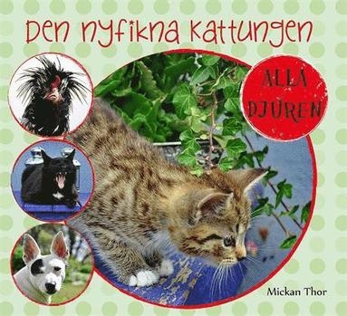 bokomslag Den nyfikna kattungen