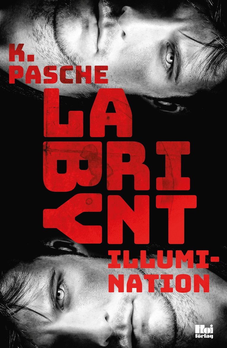Karin Pasche - Labyrint. Illumination, Häftad