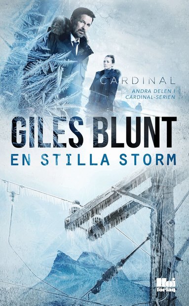 Giles Blunt - En stilla storm, Pocket