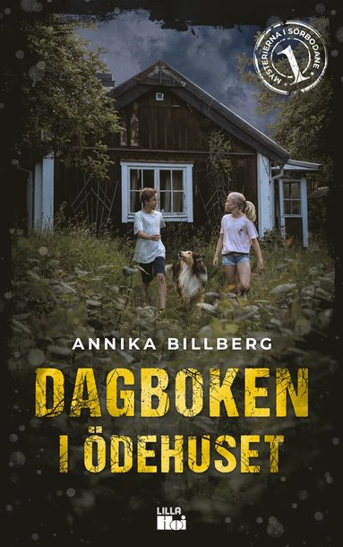 bokomslag Dagboken i ödehuset