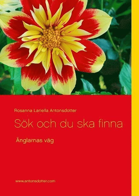 Rosanna Lariella Antonsdotter - Sök och du ska finna : änglarnas väg, Inbunden
