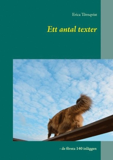 bokomslag Ett antal texter : de första 140 inläggen