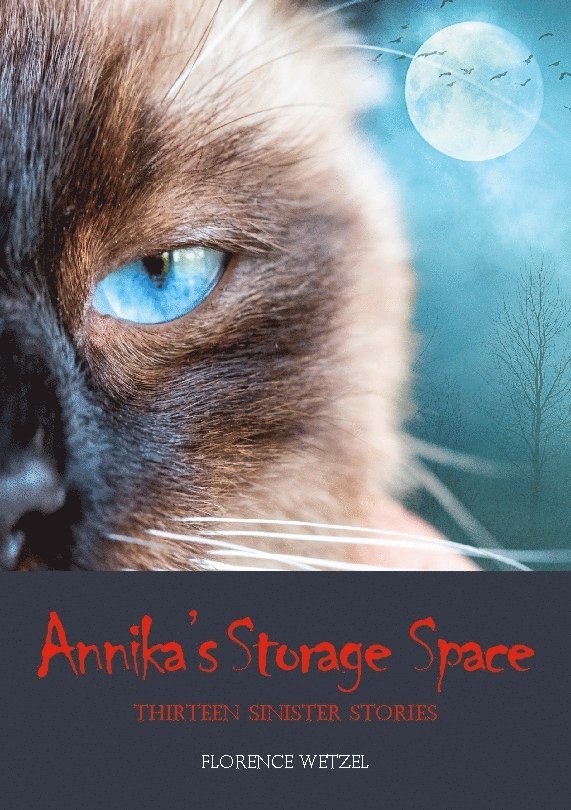 Florence Wetzel - Annika's storage space : thirteen sinister stories, Häftad