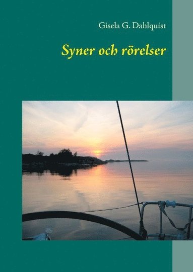 bokomslag Syner och rörelser