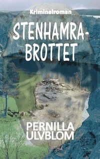 bokomslag Stenhamrabrottet: Kriminalroman