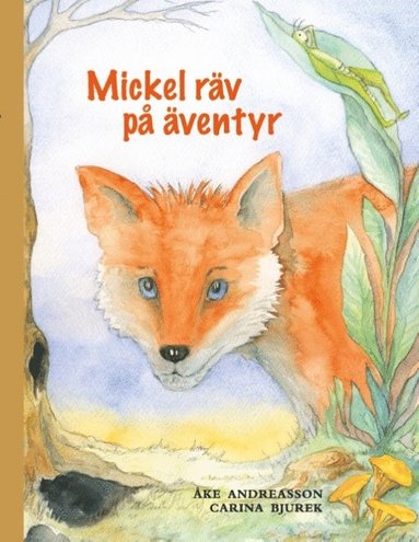 bokomslag Mickel räv på äventyr