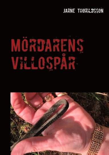 bokomslag Mördarens villospår