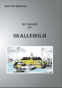 bokomslag Det händer på Skalleholm