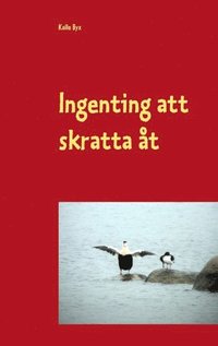 bokomslag Ingenting att skratta åt