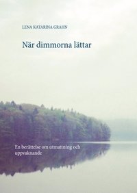 bokomslag När dimmorna lättar : en berättelse om utmattning och uppvaknande