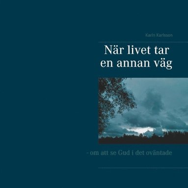 bokomslag När livet tar en annan väg: - om att se Gud i det oväntade